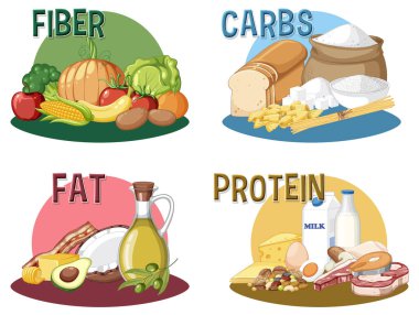 Ana besin grupları makro besin vektör illüstrasyonu