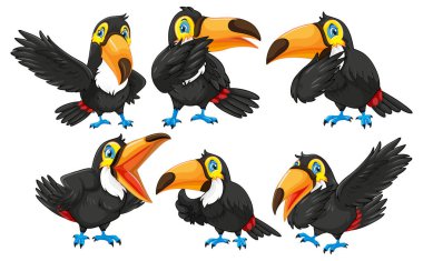 Toucan birds cartoon characters illustration