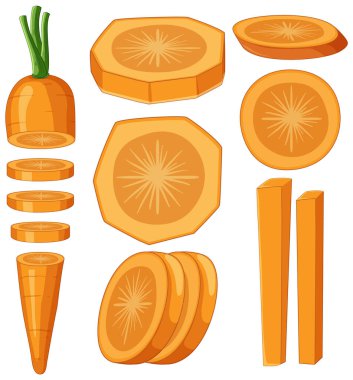 Set of carrot cartoon isolated illustration