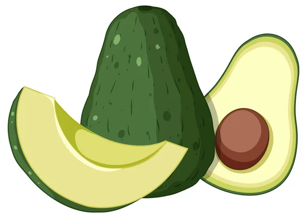 Isolated Green Avocado Fruit Isolated Illustration — Vettoriale Stock