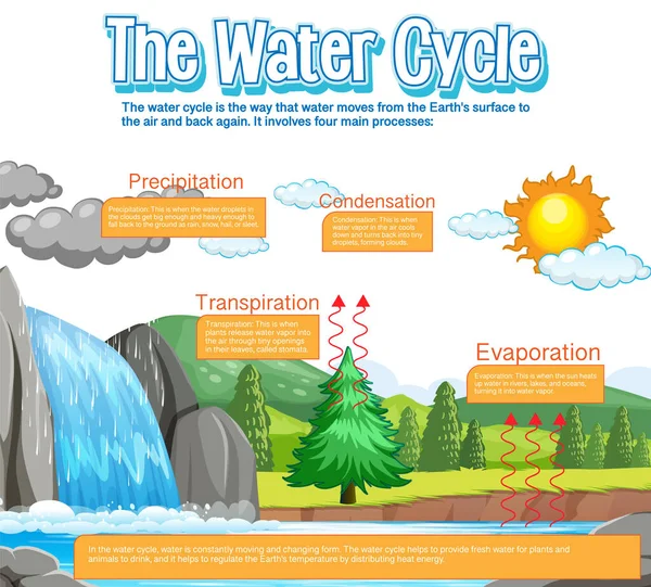 Water Cycle Diagram Science Education Illustration — Stok Vektör