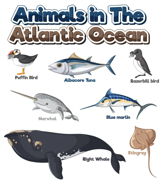 Eine Reihe Von Tieren Atlantik Illustration — Stockvektor