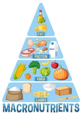 Ana besin grupları makro besin vektör illüstrasyonu