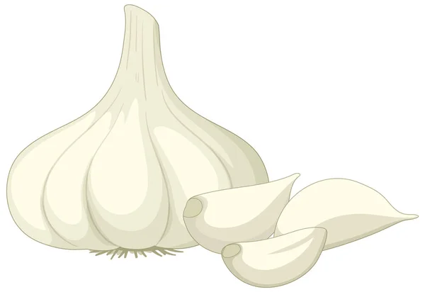 Head Garlic White Background Illustration — Vetor de Stock