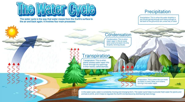 Water Cycle Diagram Science Education Illustration — стоковый вектор