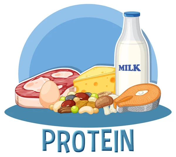 Variedades Alimentos Proteicos Con Ilustración Texto — Vector de stock