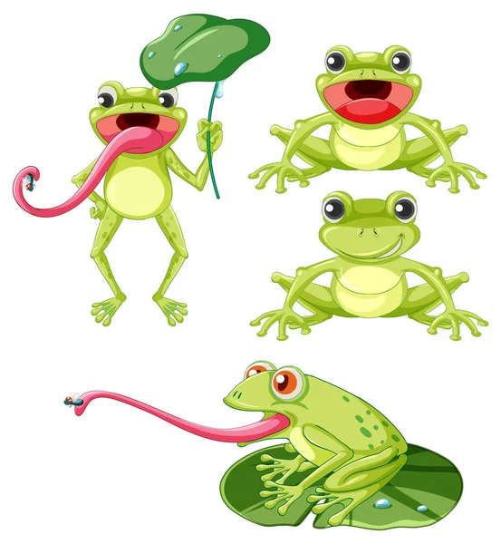 Set Verde Rana Cartone Animato Personaggio Illustrazione — Vettoriale Stock