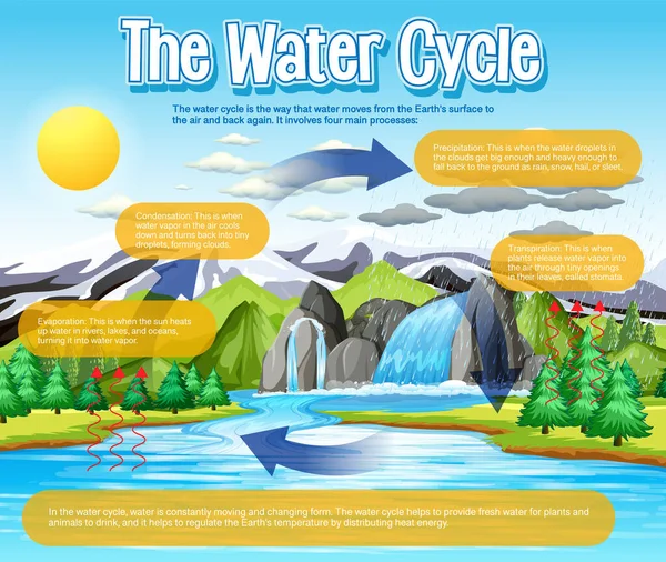 Diagrama Ciclo Água Para Ilustração Ensino Ciências —  Vetores de Stock