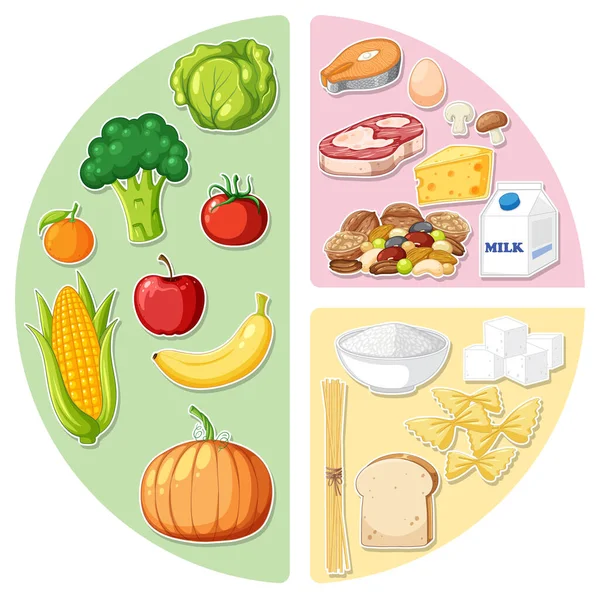 Die Wichtigsten Nahrungsmittelgruppen Makronährstoffe Vektor Illustration — Stockvektor
