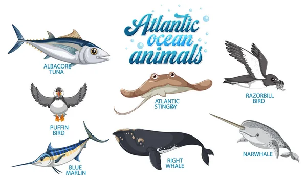 Набор Животных Атлантическом Океане Лицензионные Стоковые Иллюстрации