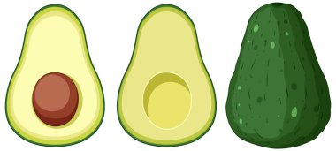 Set of avocado fruit cartoon illustration