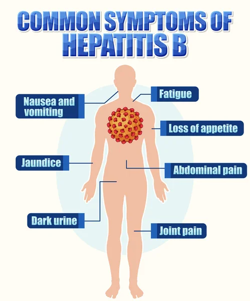 stock vector Informative poster of common symptoms Hepatitis B illustration