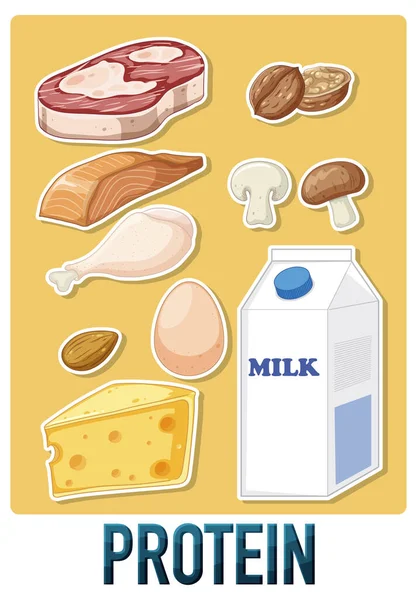 Fehérjetartalmú Élelmiszerek Változatossága Szöveges Illusztrációval — Stock Vector