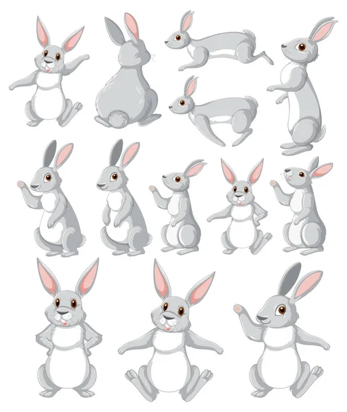 Cute Rabbit Cartoon Character Collection Illustration — Archivo Imágenes Vectoriales