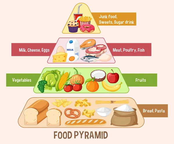 Élelmiszer Táplálkozás Csoportok Piramis Illusztráció — Stock Vector
