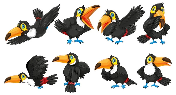Toucan Birds Cartoon Characters Illustration — Stockový vektor