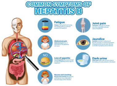 Hepatit B illüstrasyonu yaygın belirtilerin bilgilendirici posteri