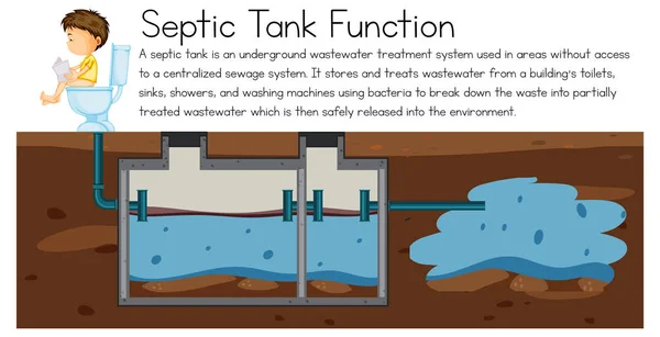 Septic Tank Function Explanation Illustration — Stock Vector