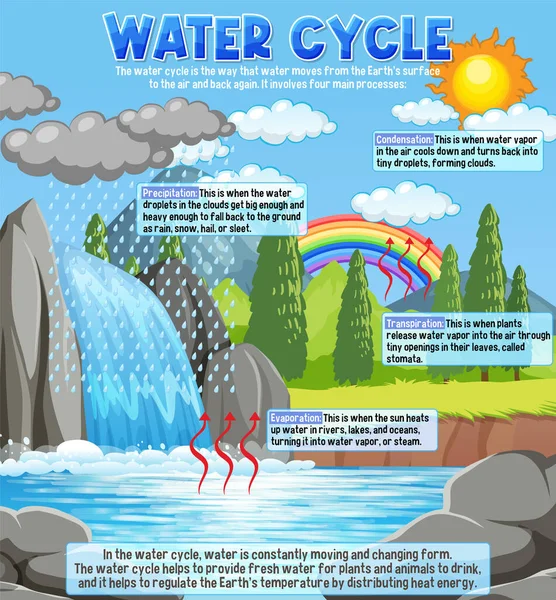 Водный Цикл Научной Иллюстрации — стоковый вектор