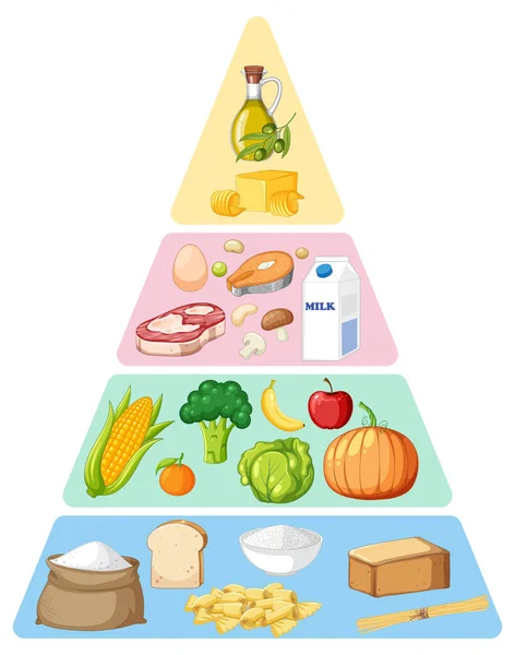 Belangrijkste Voedselgroepen Macronutriënten Vector Illustratie — Stockvector