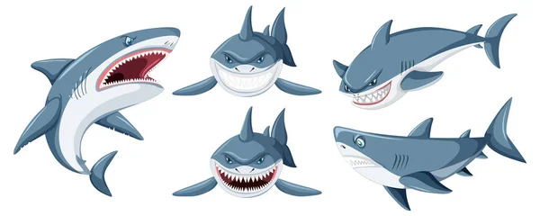 Žralok Dělá Různé Činnosti Kreslené Postavičky Ilustrace — Stockový vektor