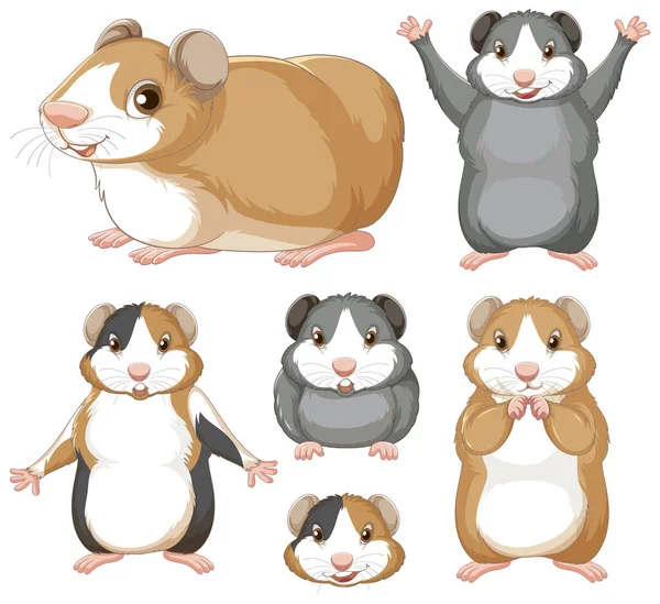 Conjunto Roedores Hamster Ilustração Personagem Desenho Animado — Vetor de Stock