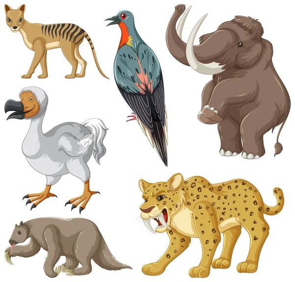 Collection Extinct Animals Illustration — Stock Vector
