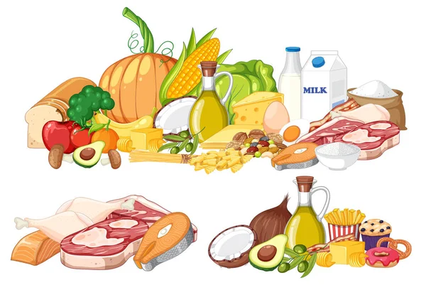Principaux Groupes Alimentaires Macronutriments Illustration Vectorielle — Image vectorielle