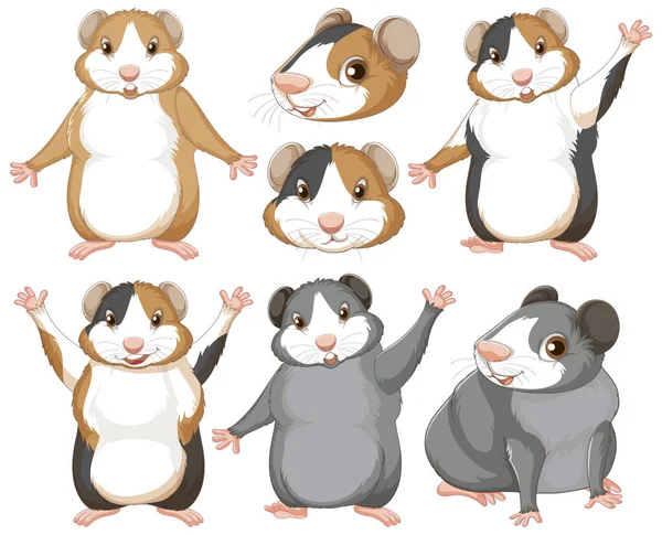 Bir Dizi Hamster Kemirgeni Çizgi Film Karakteri Çizimi — Stok Vektör