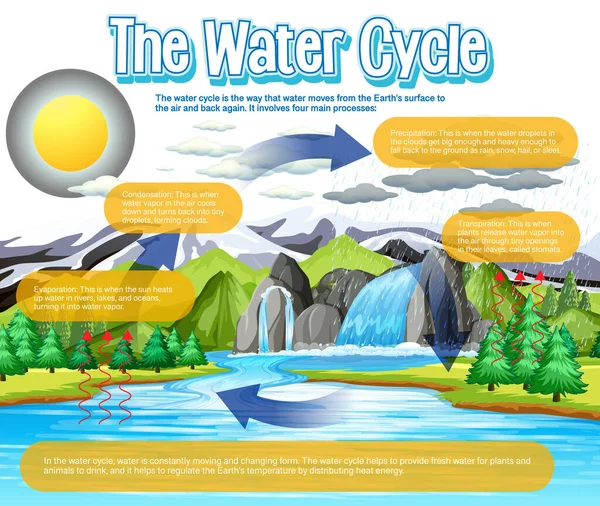 Water Cycle Diagram Science Education Illustration — Stockvektor