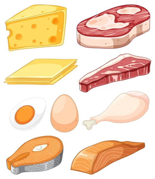 Różnorodność Tłuszczu Żywności Białkowej Kolekcja Ilustracji — Wektor stockowy