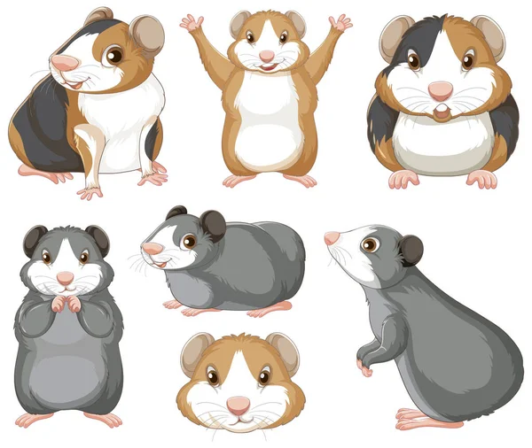 Set Van Hamster Knaagdieren Cartoon Karakter Illustratie — Stockvector