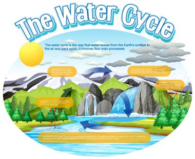 The water cycle diagram for science education illustration