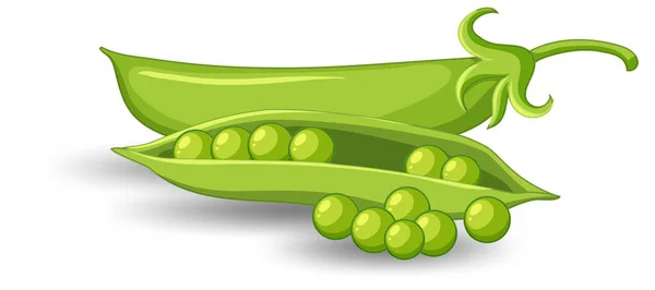 Pod Green Peas White Background Illustration — Stock Vector