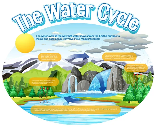 Vattnets Cykel Diagram För Vetenskap Utbildning Illustration — Stock vektor