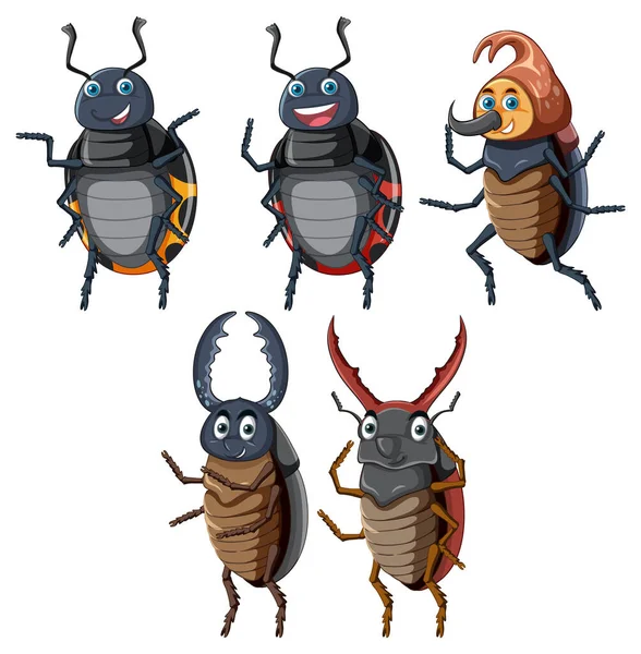 Set Beetle Cartoon Character Illustration — Stock Vector