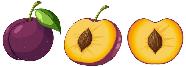 Set Plum Fruit Cartoon Illustration — Διανυσματικό Αρχείο
