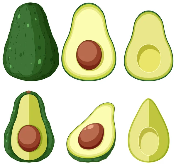 Avocado Whole Half Pieces Illustration — Stock Vector