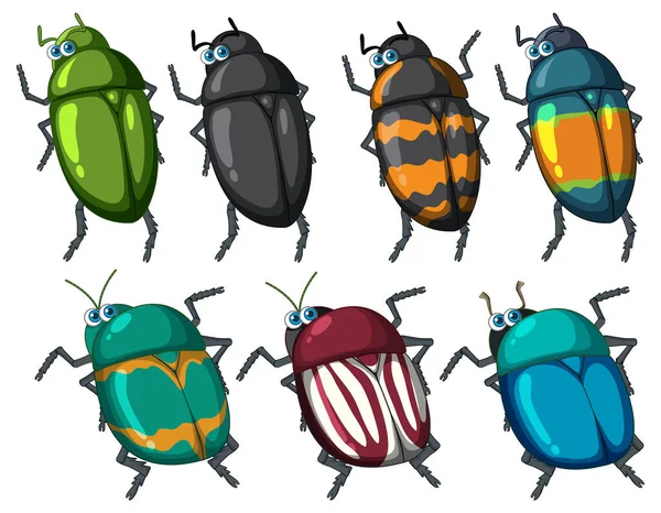 Set Beetle Cartoon Character Illustration — Stock Vector