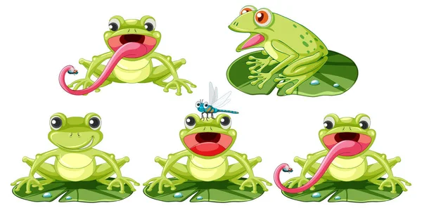Set Green Frog Cartoon Character Illustration — Stock Vector