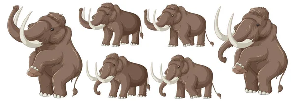 Mammoth Εξαφανιστεί Ζώων Εικονογράφηση Συλλογή — Διανυσματικό Αρχείο
