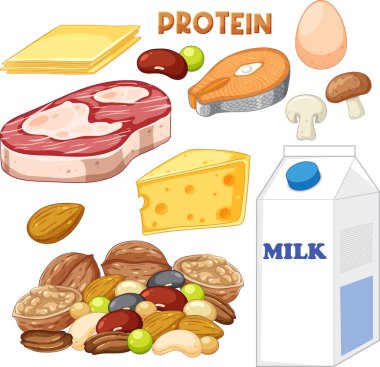 Varieties of protein food with text illustration