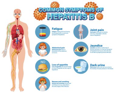 Hepatit B illüstrasyonu yaygın belirtilerin bilgilendirici posteri