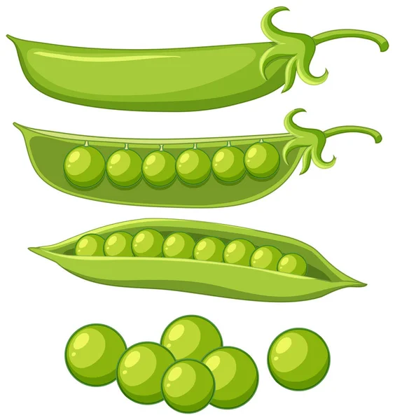 Isolated Green Peas Cartoon Illustration — Archivo Imágenes Vectoriales