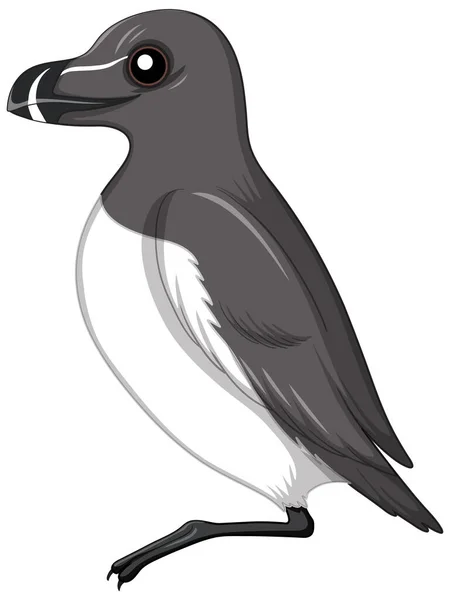 Razorbill Bird Isolated White Background Illustration — 스톡 벡터