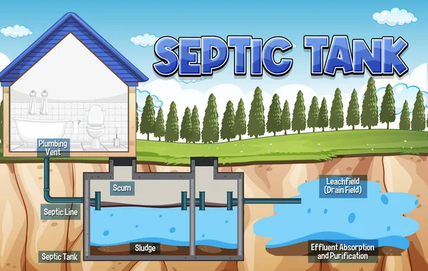 Schemat Układu Zbiornika Septic Ilustracja — Wektor stockowy