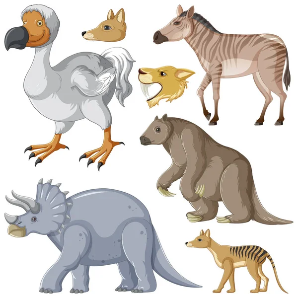 Coleção Animais Extinto Ilustração — Vetor de Stock