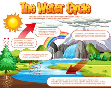 The water cycle diagram for science education illustration