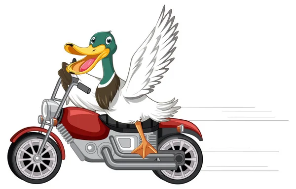 Kachna Koni Motocykl Kresleném Stylu Ilustrace — Stockový vektor