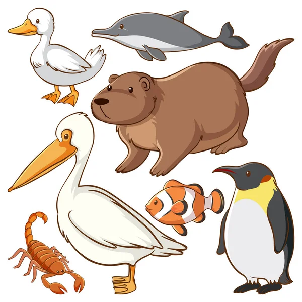 Set Van Eenvoudige Dieren Cartoon Karakter Illustratie — Stockvector